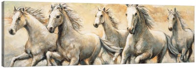 Wild Horses Canvas Art Print - Southwest Décor