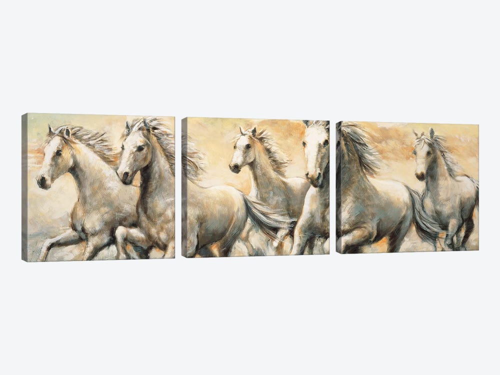 Wild Horses by Ralph Steele 3-piece Art Print