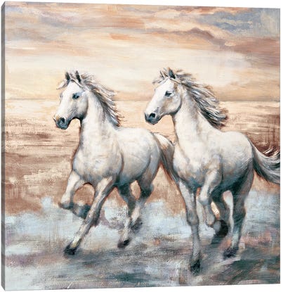 Running Horses I Canvas Art Print