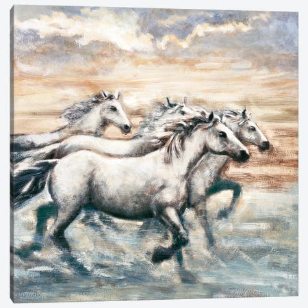 Running Horses II Canvas Print #RLS4} by Ralph Steele Canvas Art