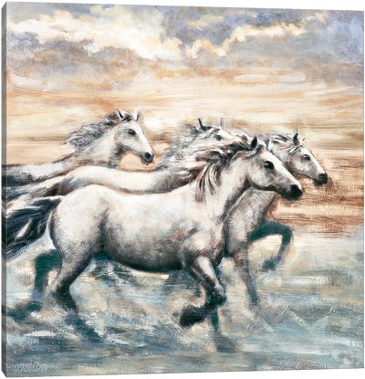 Running Horses II Canvas Art Print