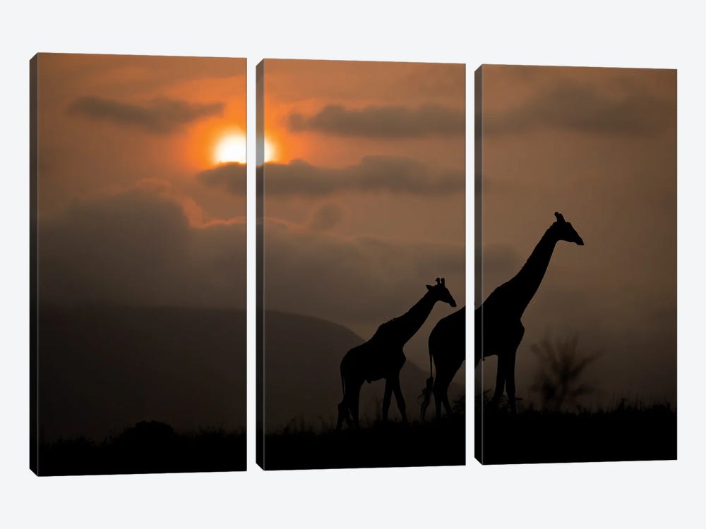 Giraffes Silhoutte At Sunrise by Robin Scholte 3-piece Canvas Wall Art
