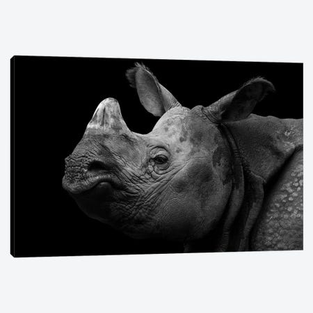 Grumpy Rhino Canvas Print #RLT12} by Robin Scholte Canvas Wall Art
