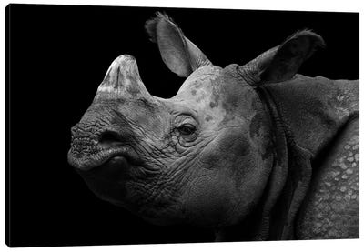 Grumpy Rhino Canvas Art Print - Rhinoceros Art