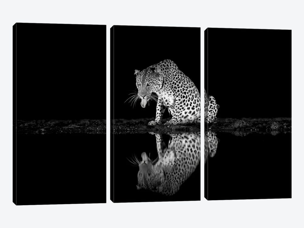 Black And White Leopard by Robin Scholte 3-piece Canvas Art