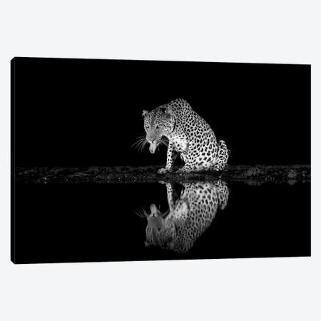 Black And White Leopard Canvas Print #RLT162} by Robin Scholte Canvas Art Print