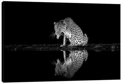 Black And White Leopard Canvas Art Print - Cheetah Art