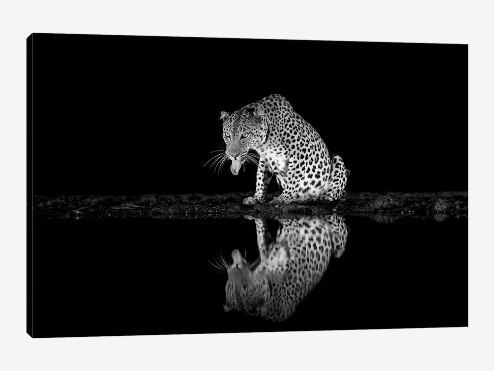 Black And White Leopard by Robin Scholte 1-piece Canvas Artwork