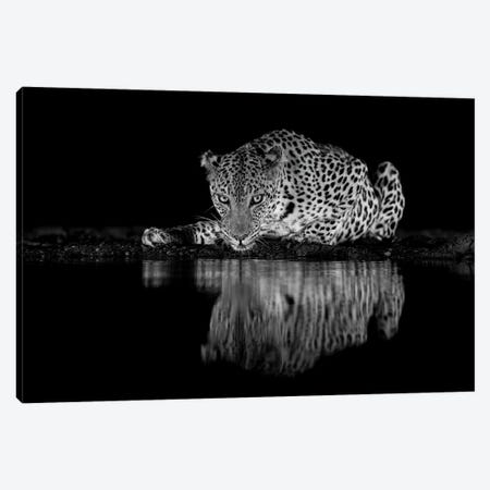Leopard Eyes In Black And White Canvas Print #RLT170} by Robin Scholte Canvas Wall Art