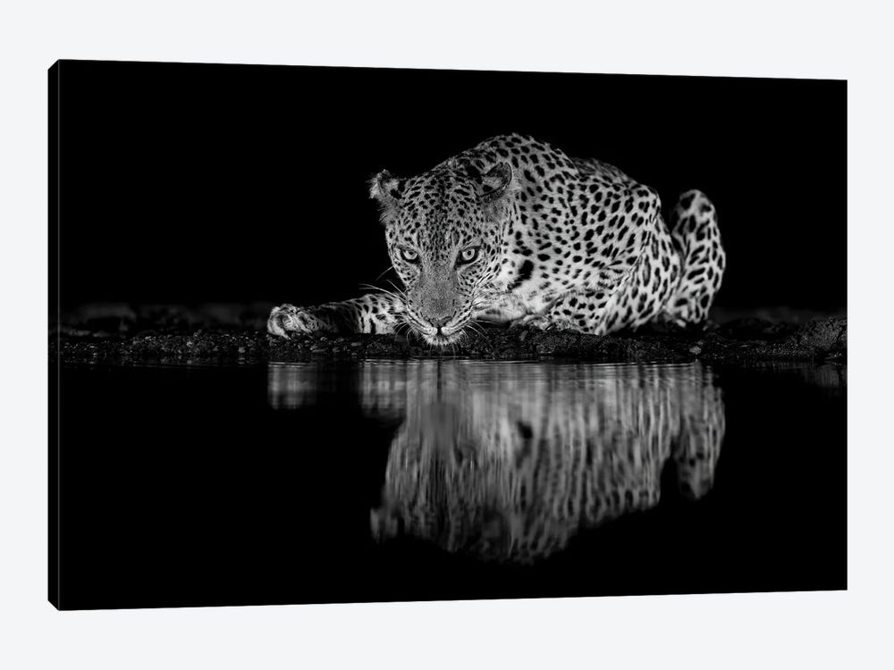 Leopard Eyes In Black And White by Robin Scholte 1-piece Art Print