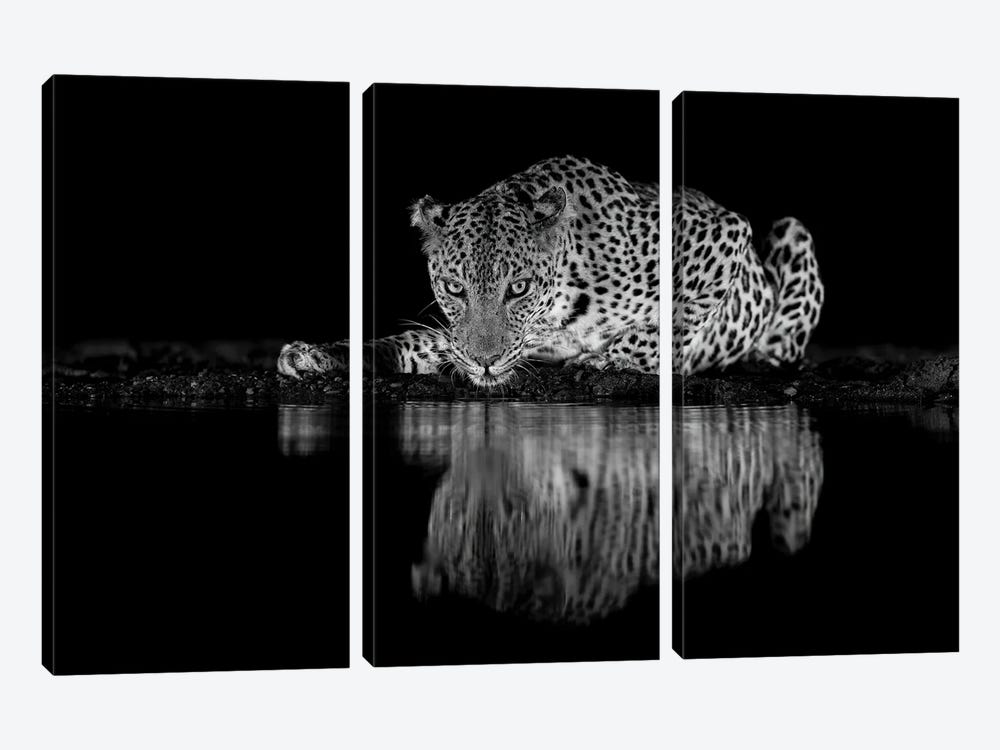 Leopard Eyes In Black And White by Robin Scholte 3-piece Art Print