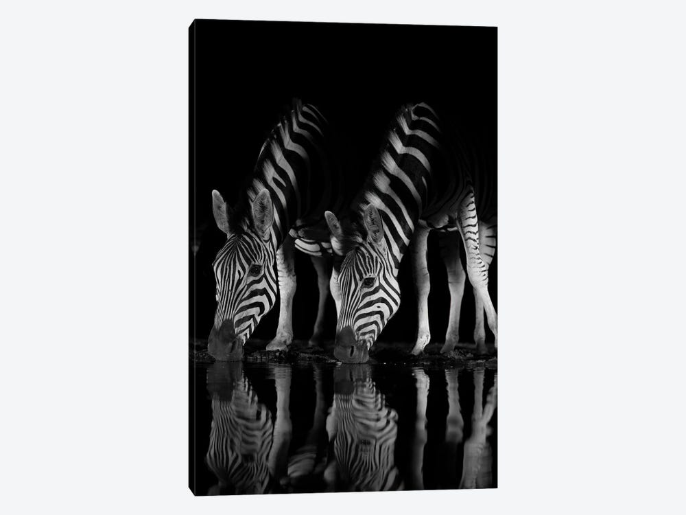 Drinking Zebras At Night by Robin Scholte 1-piece Canvas Artwork