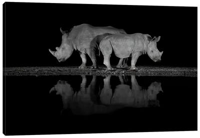 Back To Back Rhino Canvas Art Print - Rhinoceros Art