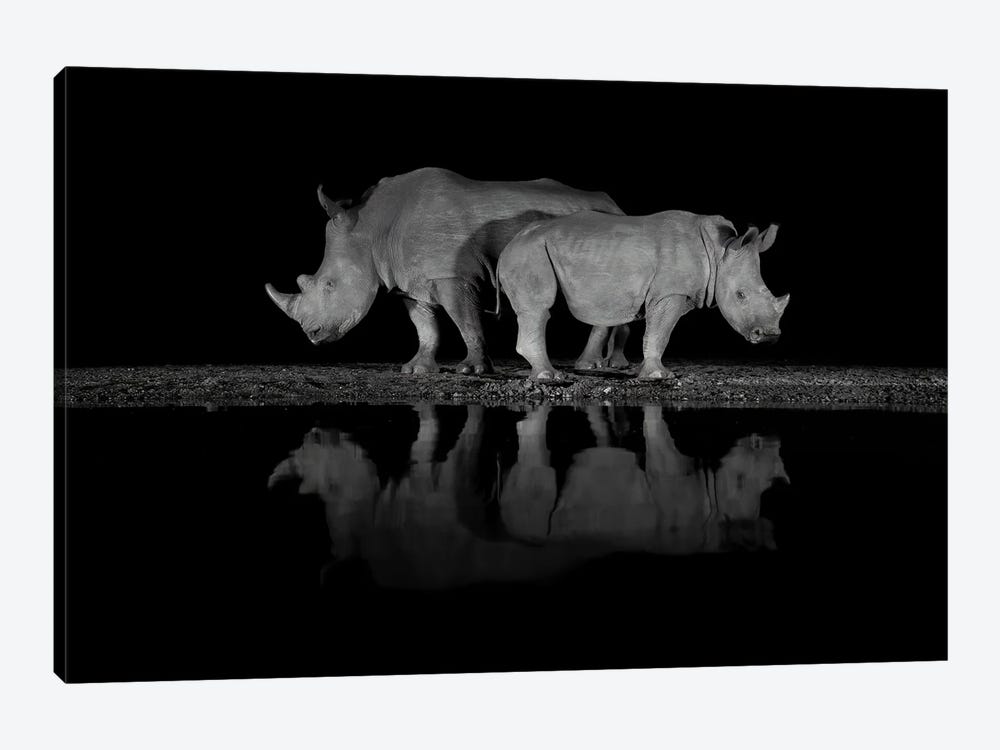 Back To Back Rhino by Robin Scholte 1-piece Canvas Wall Art