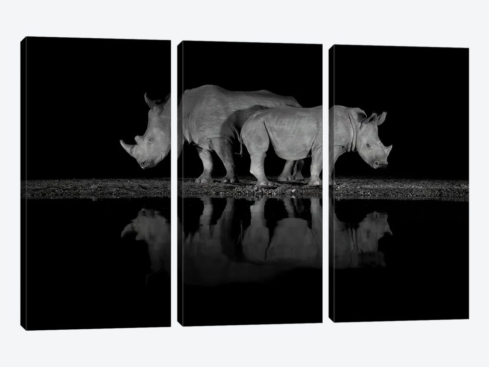 Back To Back Rhino by Robin Scholte 3-piece Canvas Art