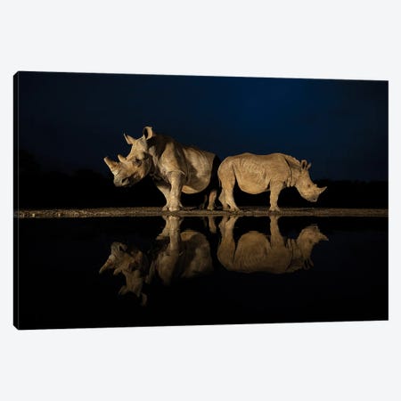 Rhinos In The Night Canvas Print #RLT3} by Robin Scholte Canvas Wall Art