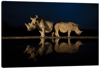 Rhinos In The Night Canvas Art Print - Rhinoceros Art