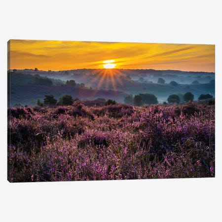 Purple Sunrise In The Netherlands Canvas Print #RLT52} by Robin Scholte Canvas Wall Art