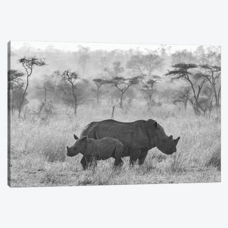 Rhinos Canvas Print #RLT61} by Robin Scholte Art Print