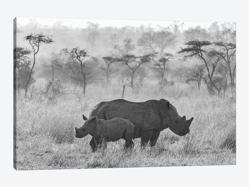 Rhinos by Robin Scholte 1-piece Canvas Print