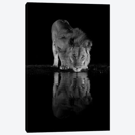 The King At Night Canvas Print #RLT62} by Robin Scholte Canvas Print