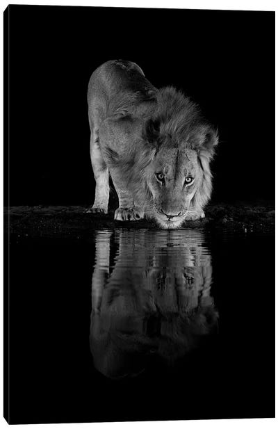 The King At Night Canvas Art Print - Robin Scholte
