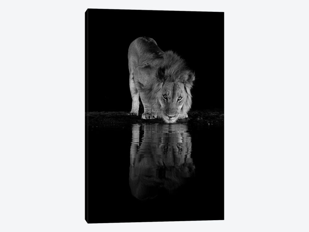 The King At Night by Robin Scholte 1-piece Canvas Artwork