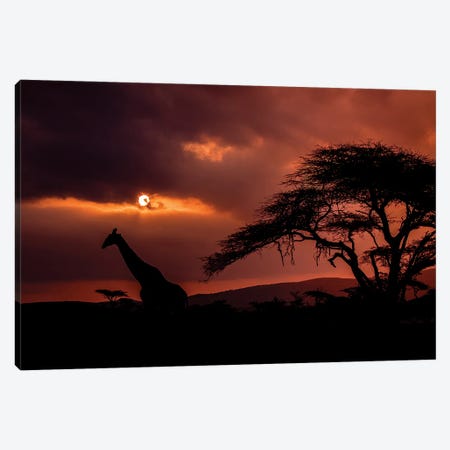 African View Canvas Print #RLT65} by Robin Scholte Canvas Artwork