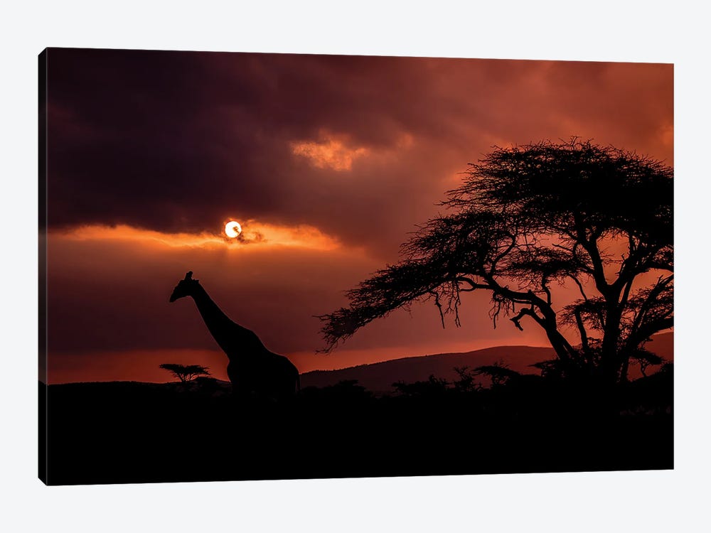 African View by Robin Scholte 1-piece Canvas Art Print