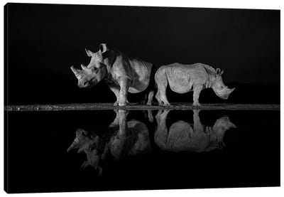 Watch My Back Canvas Art Print - Rhinoceros Art