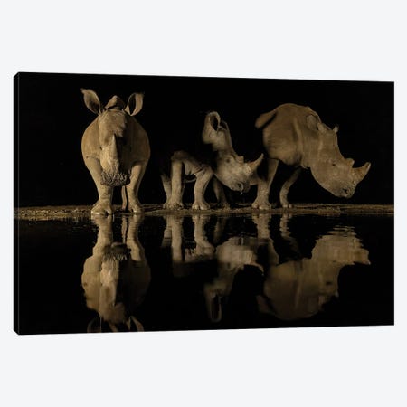 The Rhino Family Canvas Print #RLT69} by Robin Scholte Canvas Print
