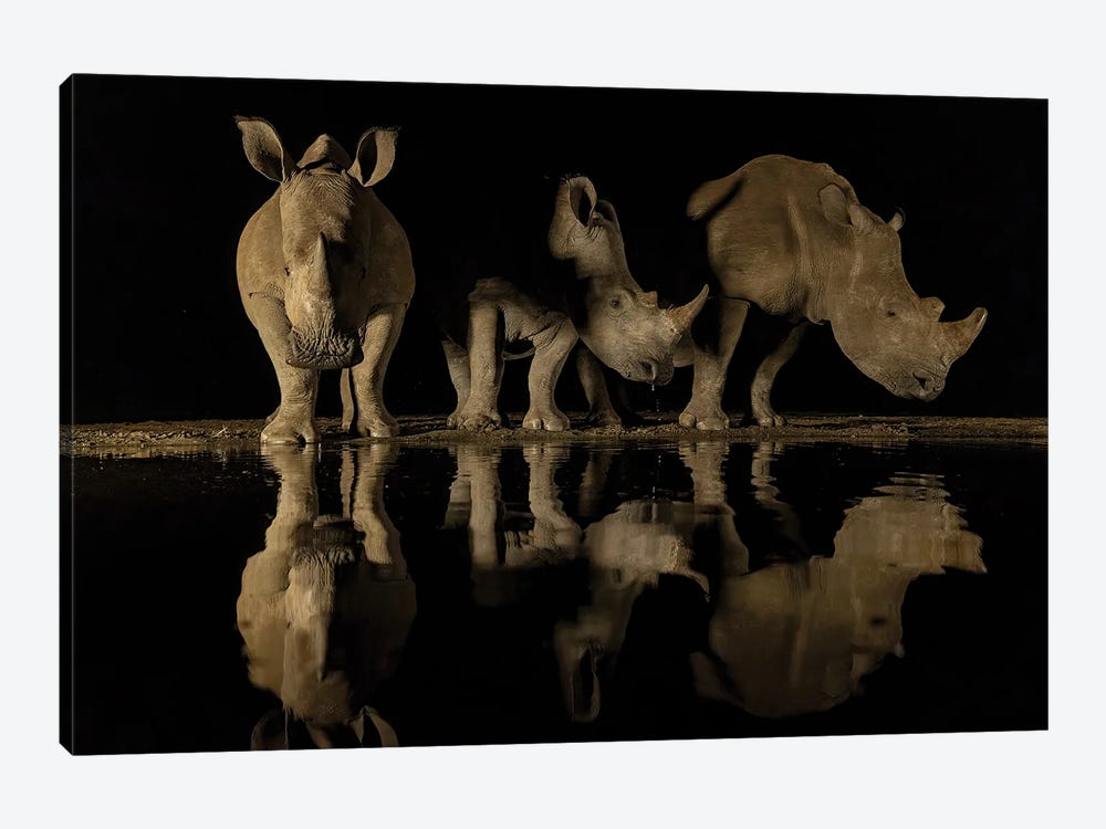 The Rhino Family by Robin Scholte 1-piece Art Print