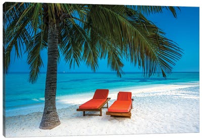 Tropical Island (Maldives) Canvas Art Print - Tropical Beach Art