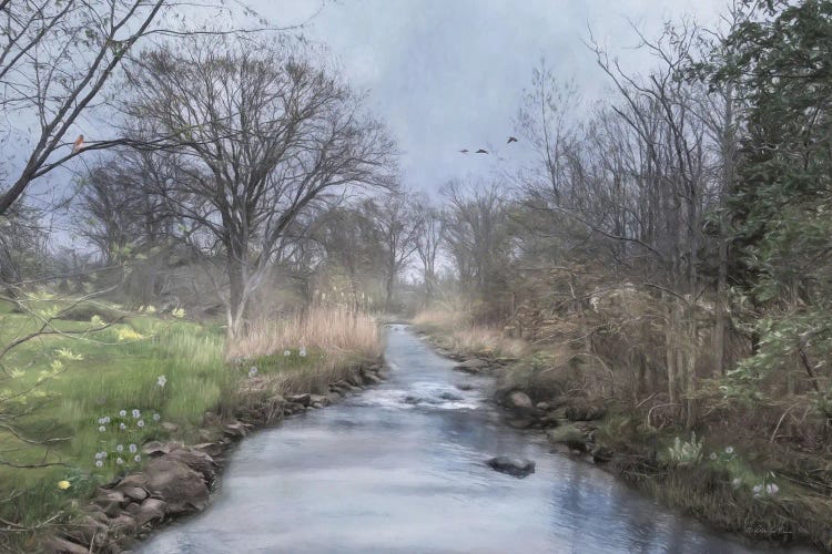 Meadow Brook by Robin-Lee Vieira wall art