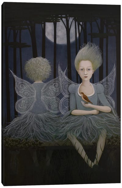 What Fairies Haunt This Ground Canvas Art Print - Fairy Art