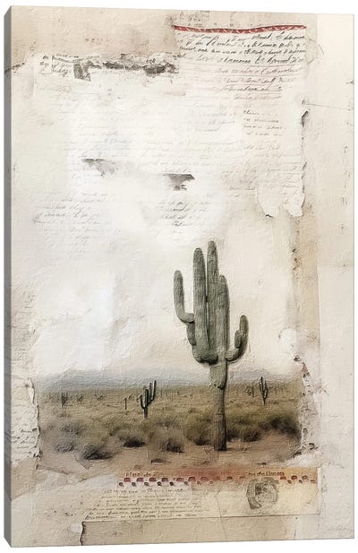Desert Collage III Canvas Art Print - RileyB