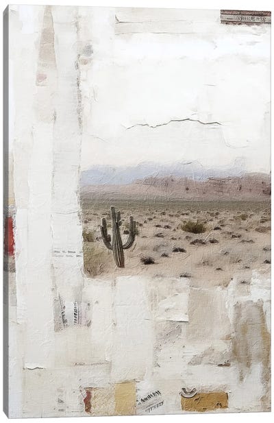 Desert Collage IX Canvas Art Print - RileyB