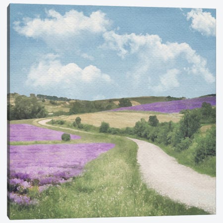 Lavender Country Road Canvas Print #RLY10} by RileyB Canvas Print