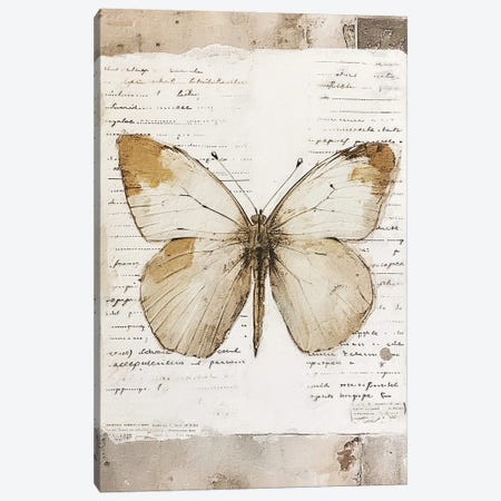 Neutral Butterfly II Canvas Print #RLY120} by RileyB Canvas Artwork