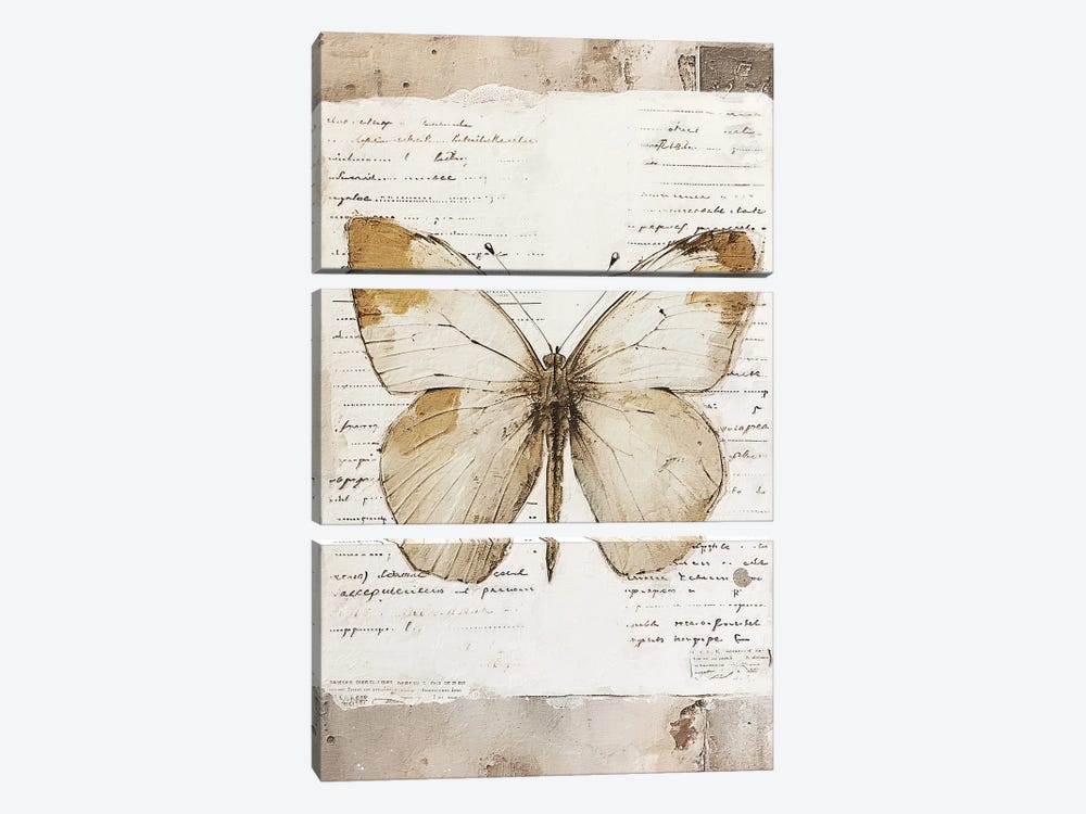 Neutral Butterfly II by RileyB 3-piece Canvas Print