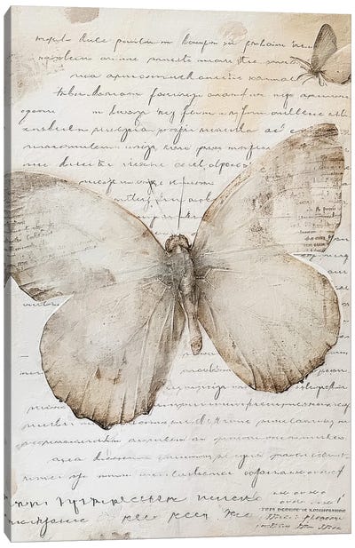 Neutral Butterfly V Canvas Art Print - RileyB