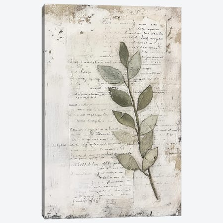 Scripted Botanicals II Canvas Print #RLY125} by RileyB Canvas Print
