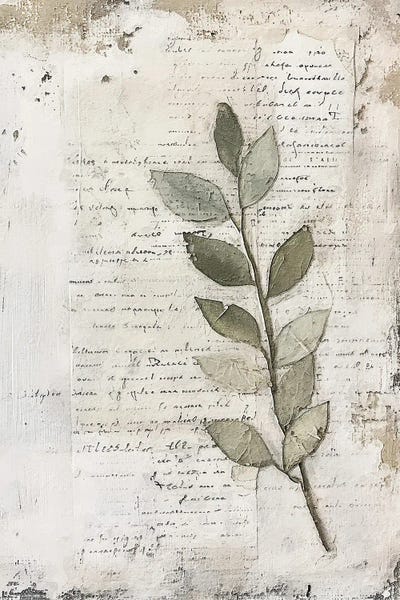 Fine Art Print: Scripted Botanicals II by Willow Studio