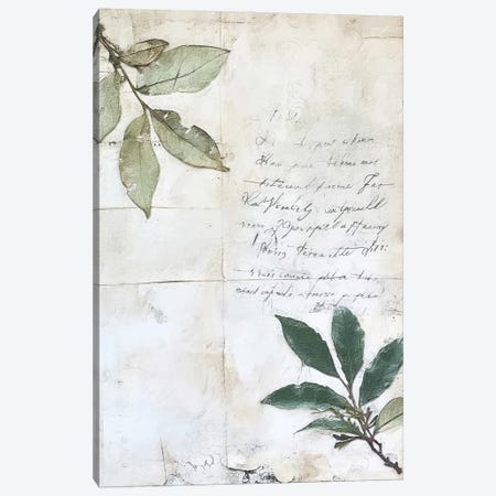 Scripted Botanicals V Canvas Print #RLY126} by RileyB Art Print