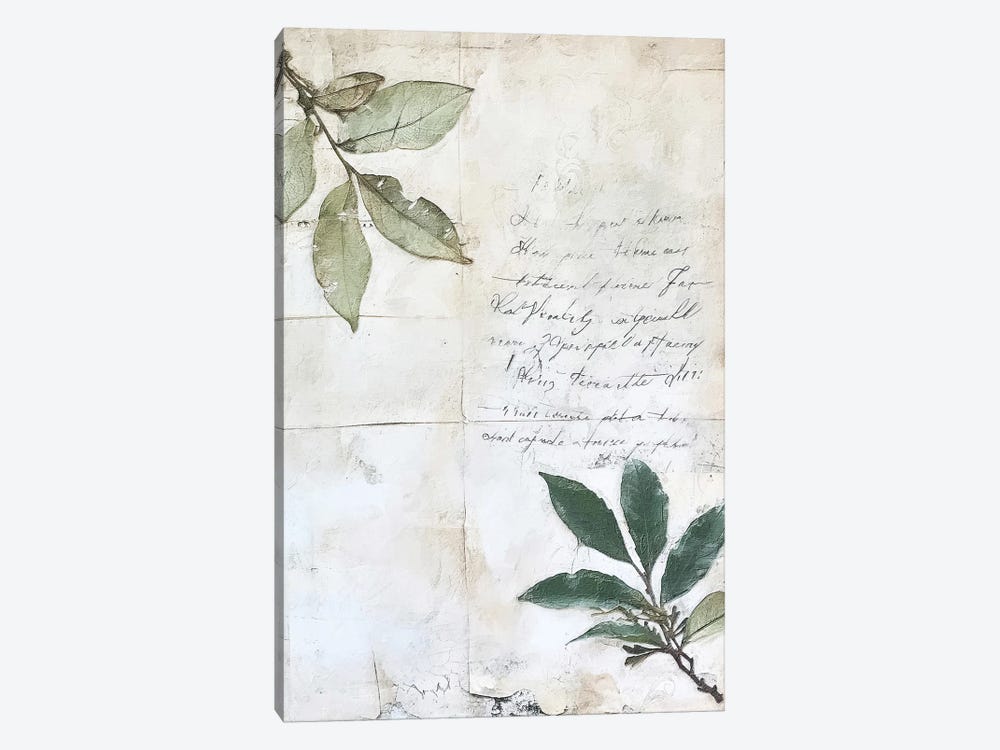 Scripted Botanicals V by RileyB 1-piece Canvas Print