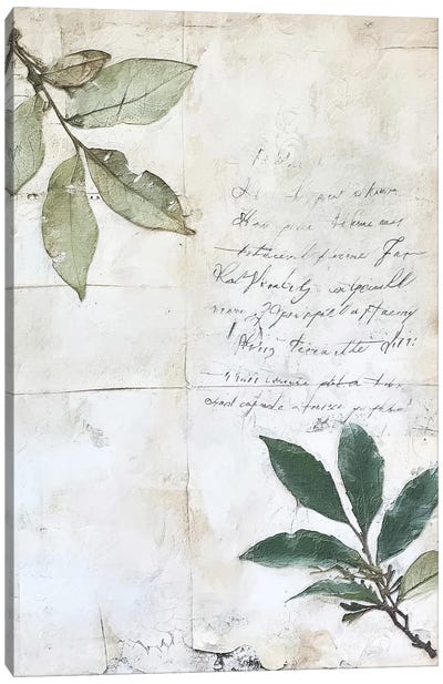 Scripted Botanicals V Canvas Art Print - RileyB