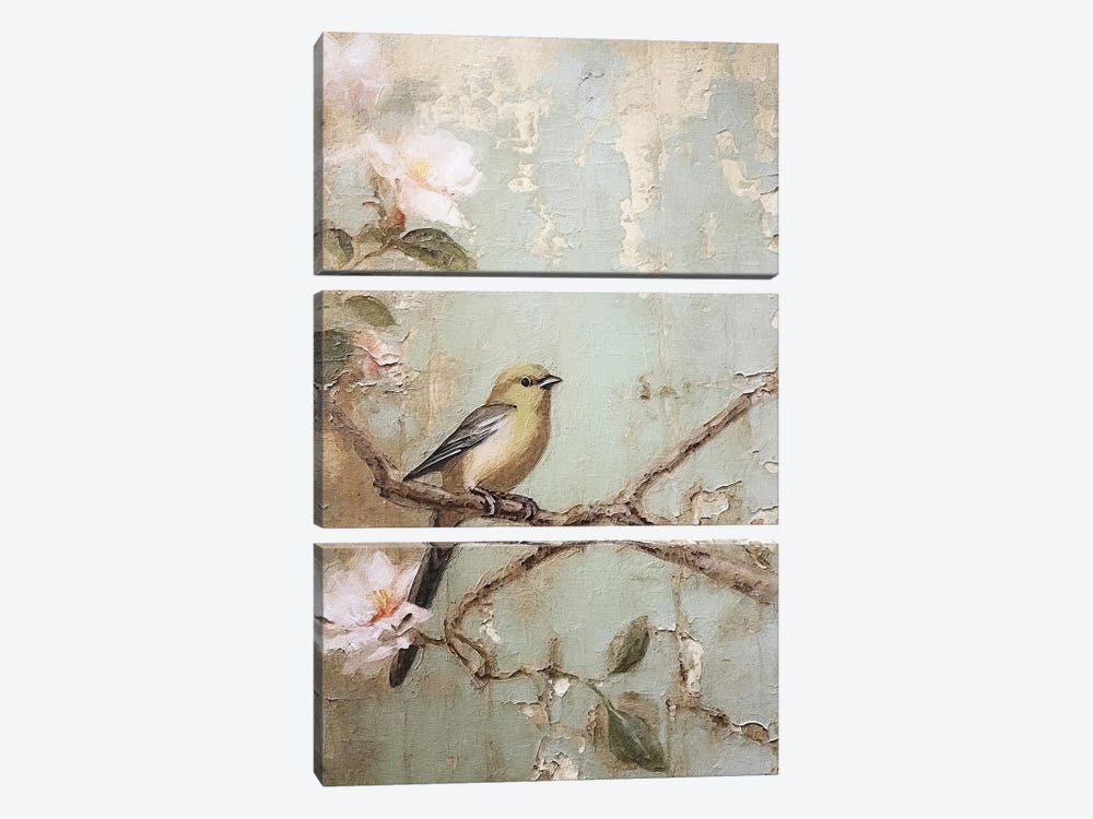 Cherry Blossom Bird XII by RileyB 3-piece Canvas Print