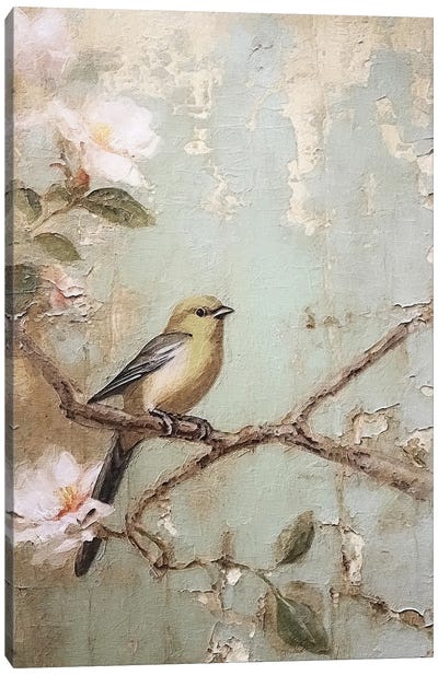 Cherry Blossom Bird XII Canvas Art Print - Cherry Blossom Art