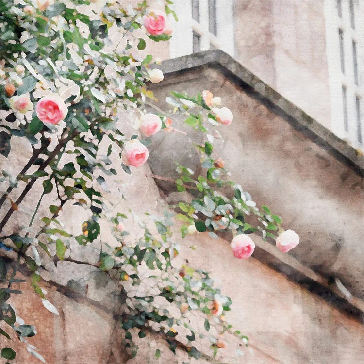 Soft Pink Flowers by Willow Studio wall art