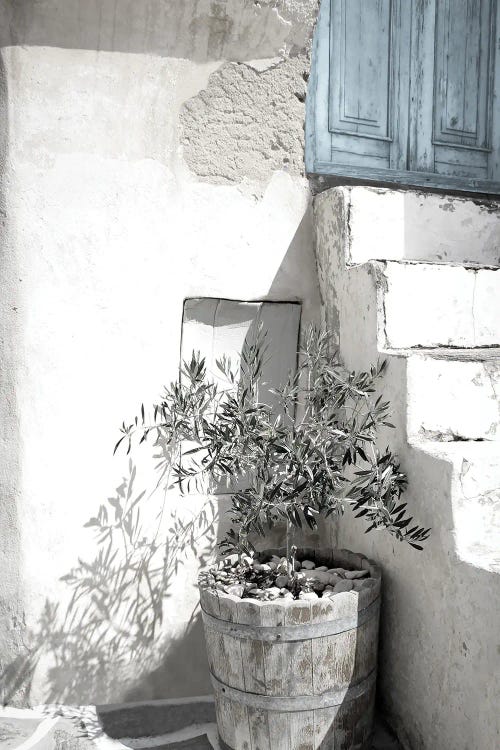 Dusty Blue Door I